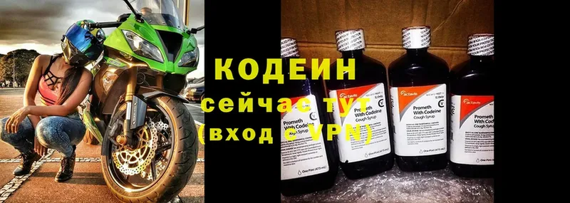 купить   Котлас  Кодеиновый сироп Lean Purple Drank 